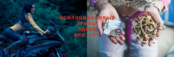 герыч Каменка