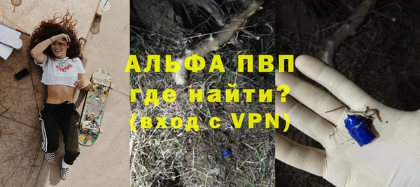 гашик Карталы