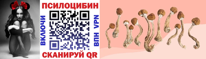 Галлюциногенные грибы Magic Shrooms  Купить  Заволжск 
